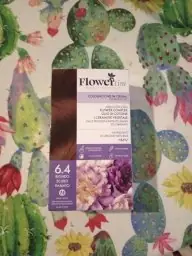 Flowertint Flowertint Flowertint 6.4 Blond Cuivré Foncé